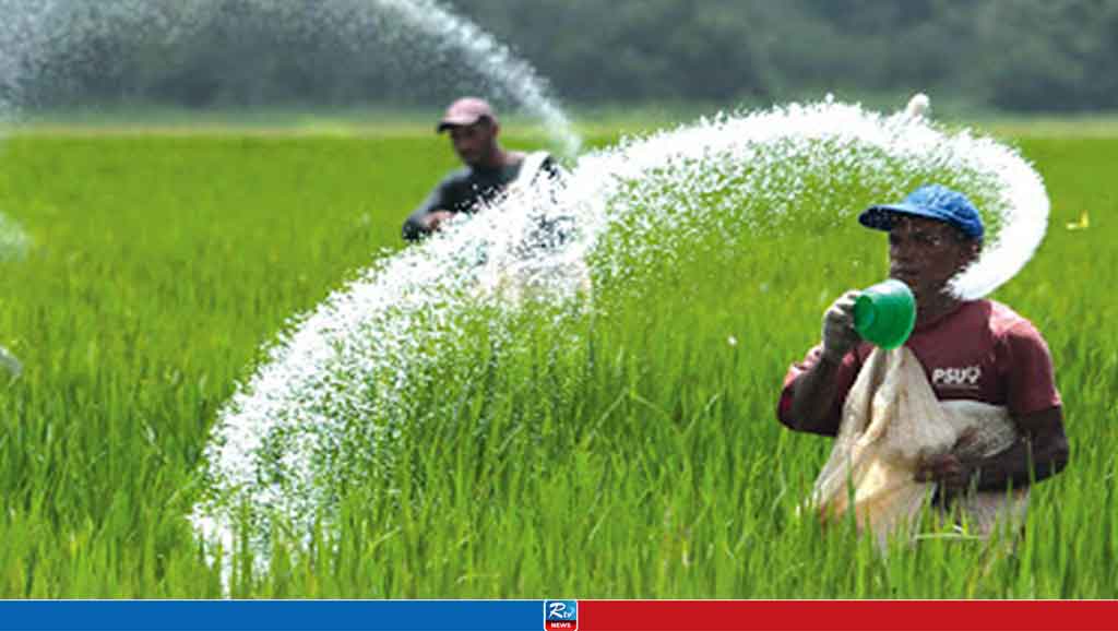 ৬০ হাজার টন সার কিনবে সরকার, মূল্য প্রায় ২১০ কোটি টাকা
