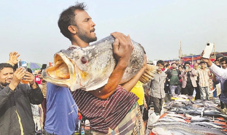 কালীগঞ্জের জামাই মেলায় মাছের বাহার