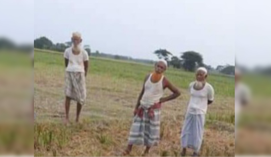 পটুয়াখালীর কলাপাড়ায় বজ্রপাতে কৃষকের ৩ গরুর মৃত্যু