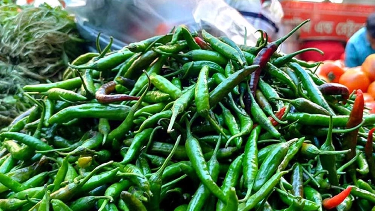 ভারত থেকে এলো ৫৯৩ টন কাঁচামরিচ